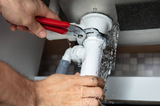 Best Water damage mitigation services  in Poteet, TX