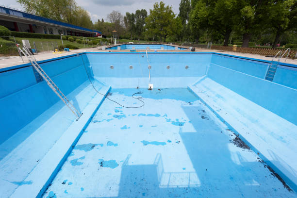 Best Professional water damage repair  in Poteet, TX