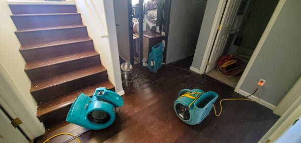 Best Flood restoration services  in Poteet, TX