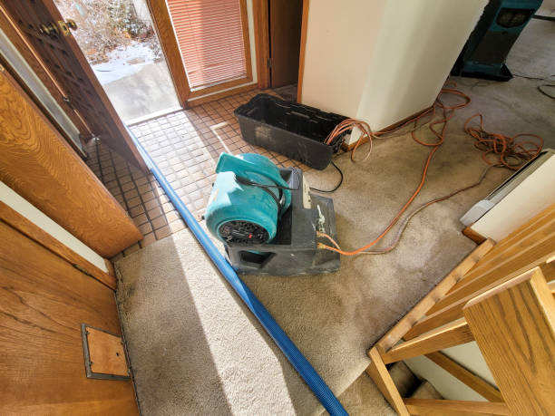 Best Sewage cleanup and water damage restoration  in Poteet, TX