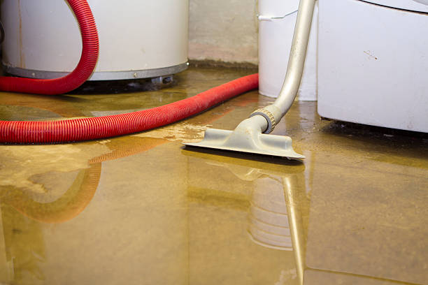 Best Water damage contractors near me  in Poteet, TX