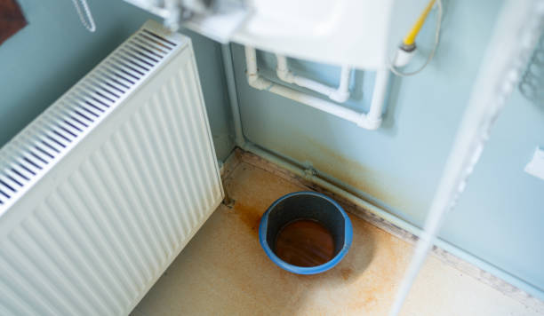 Best Mold removal after water damage  in Poteet, TX